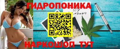 ешки Будённовск