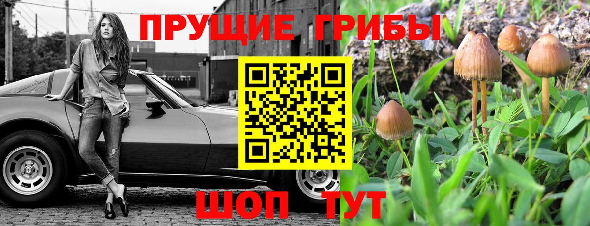 Галлюциногенные грибы MAGIC MUSHROOMS Балашов